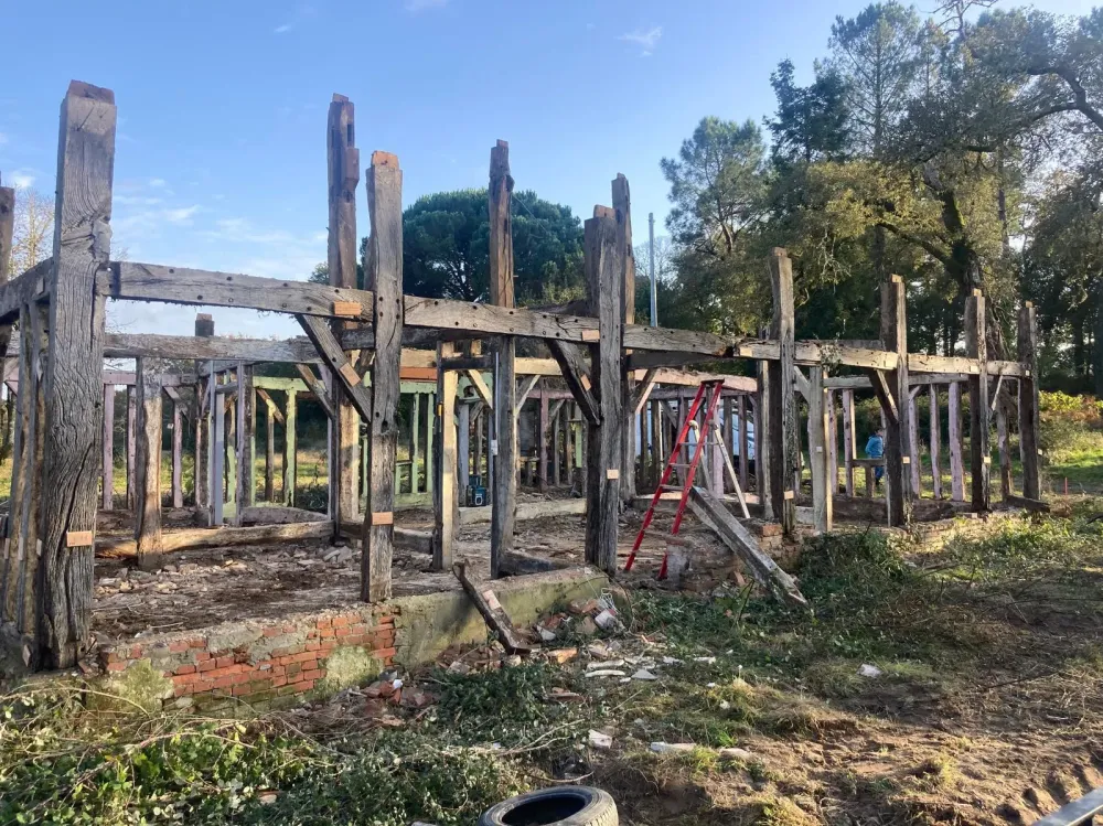 Remi-Dehez-charpente (19)