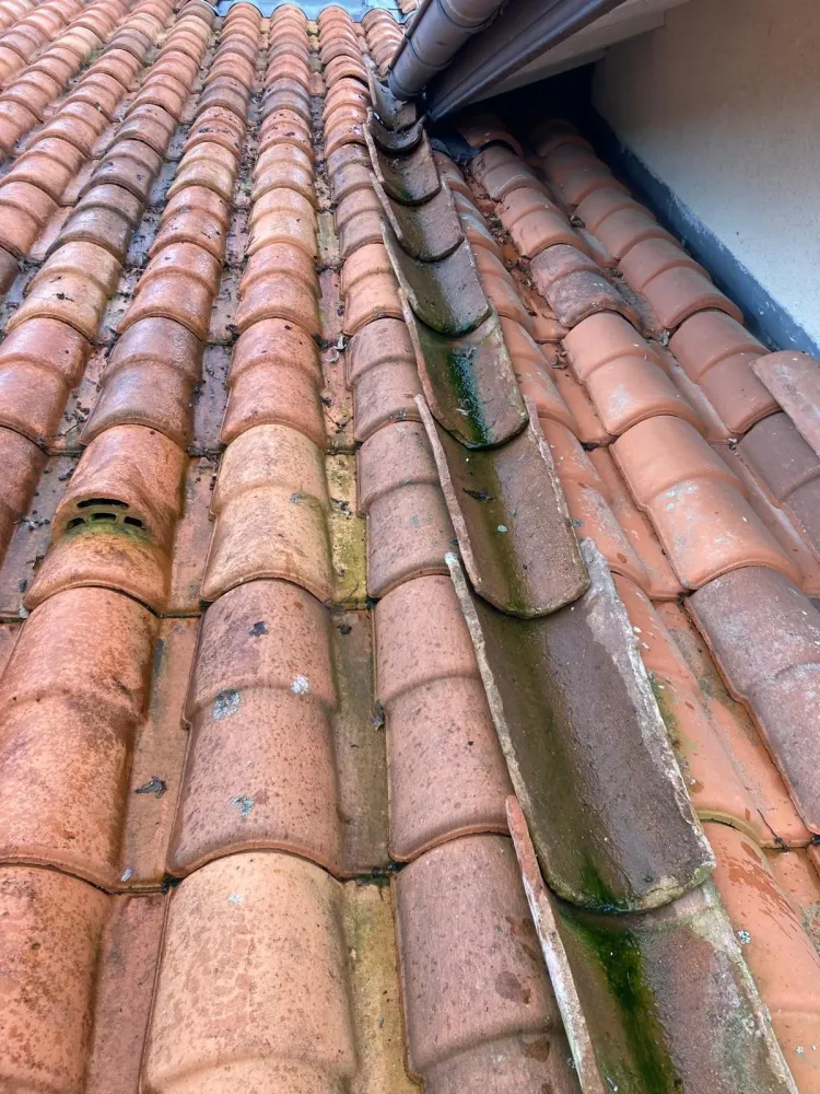 Remi-Dehez-couverture (4)