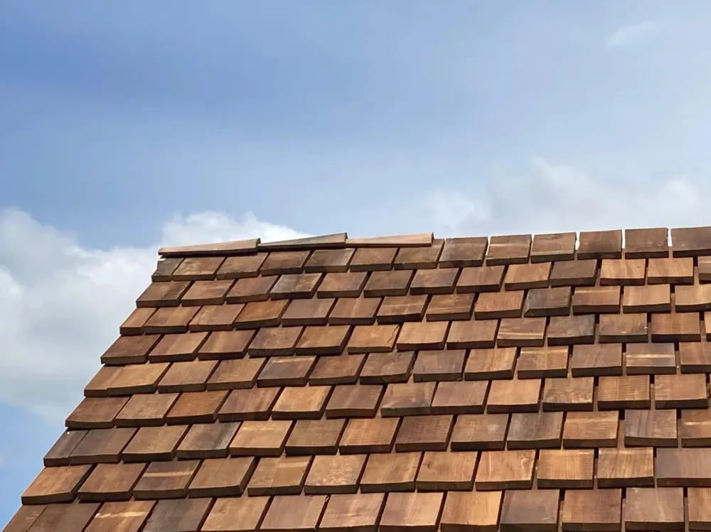 Remi-Dehez-couverture (20)