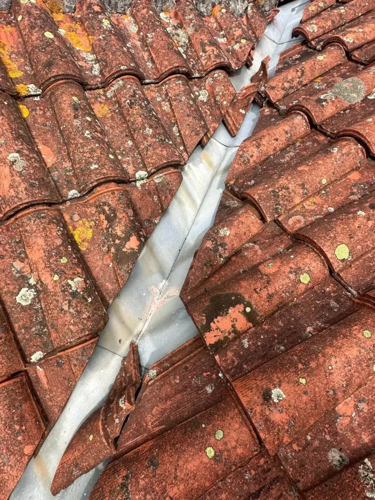 Remi-Dehez-Zinguerie (4)