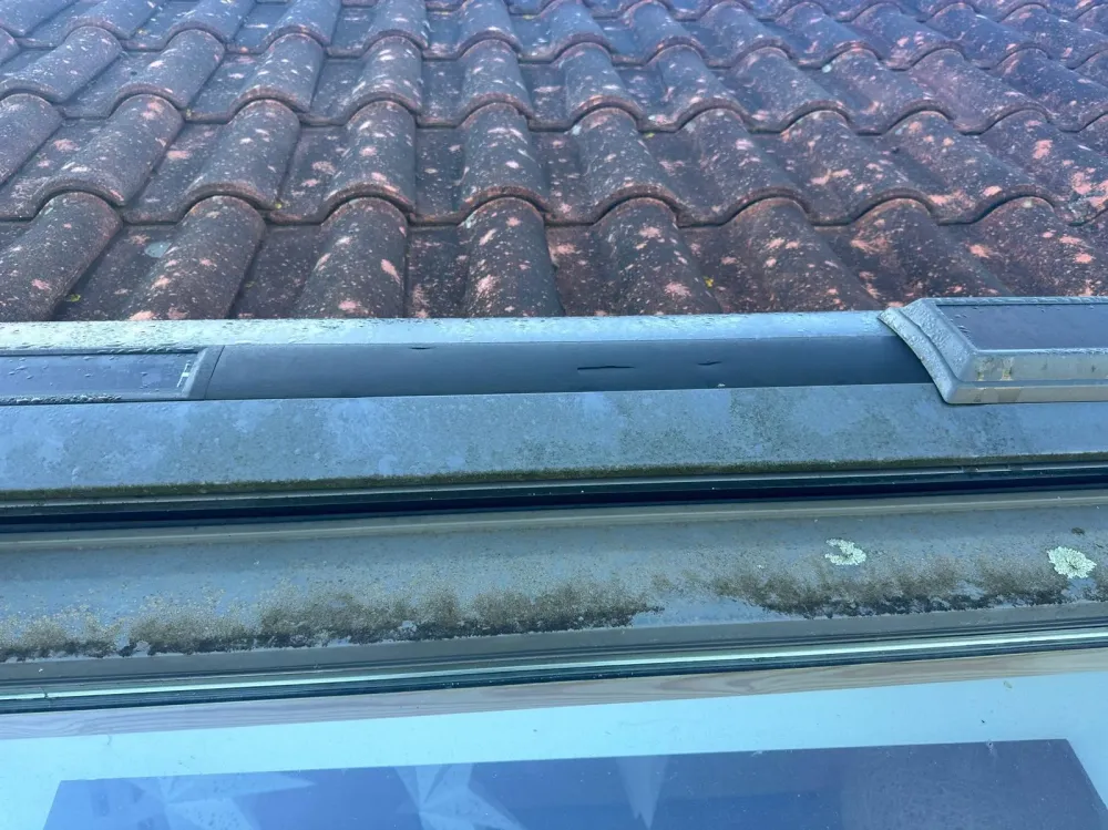 Remi-Dehez-Zinguerie (6)