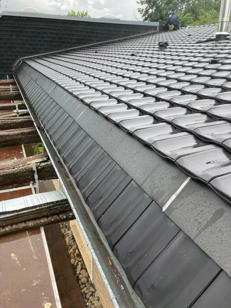 Remi-Dehez-Zinguerie (10)