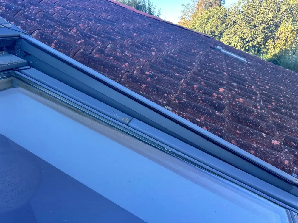 Remi-Dehez-Zinguerie (12)